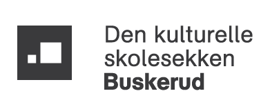 DKS Buskerud