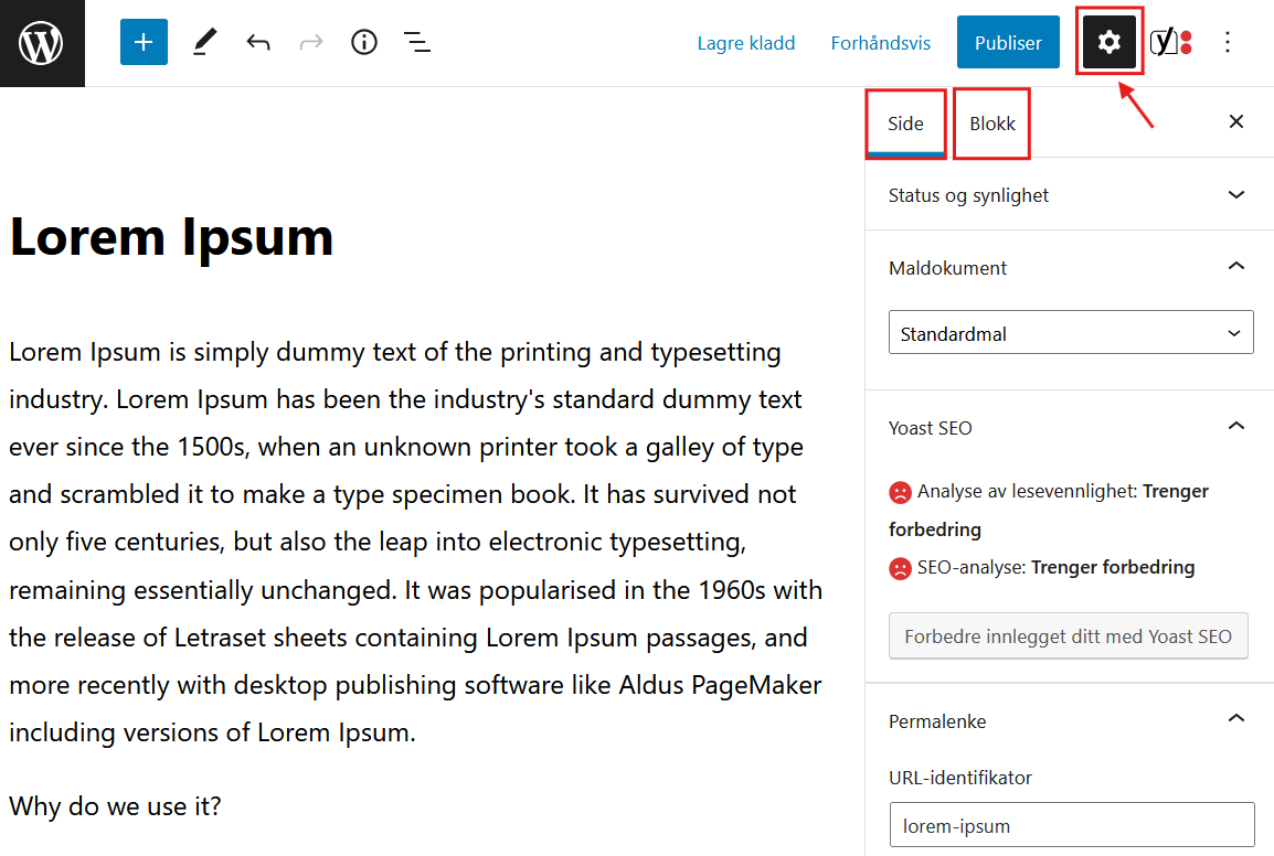 Skjermdump av redigeringsskjermen i WordPress, med valgmenyen for innstillinger markert.