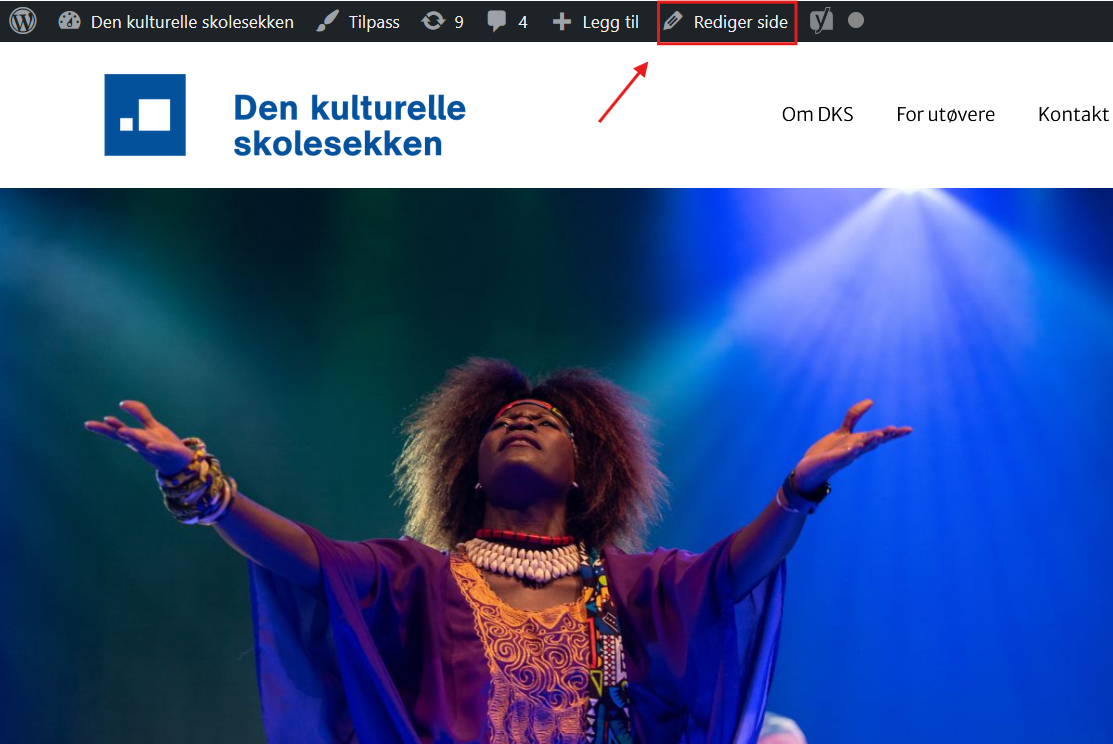 Skjermbilde av forsiden på dks.no, med markering på WordPress-verktøylinja øverst.