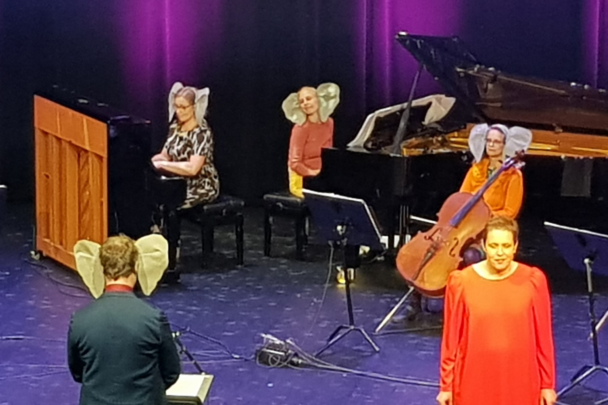 Romerike Sinfonietta og Marianne Sundal (foto: Kjersti Østnes Eggum)